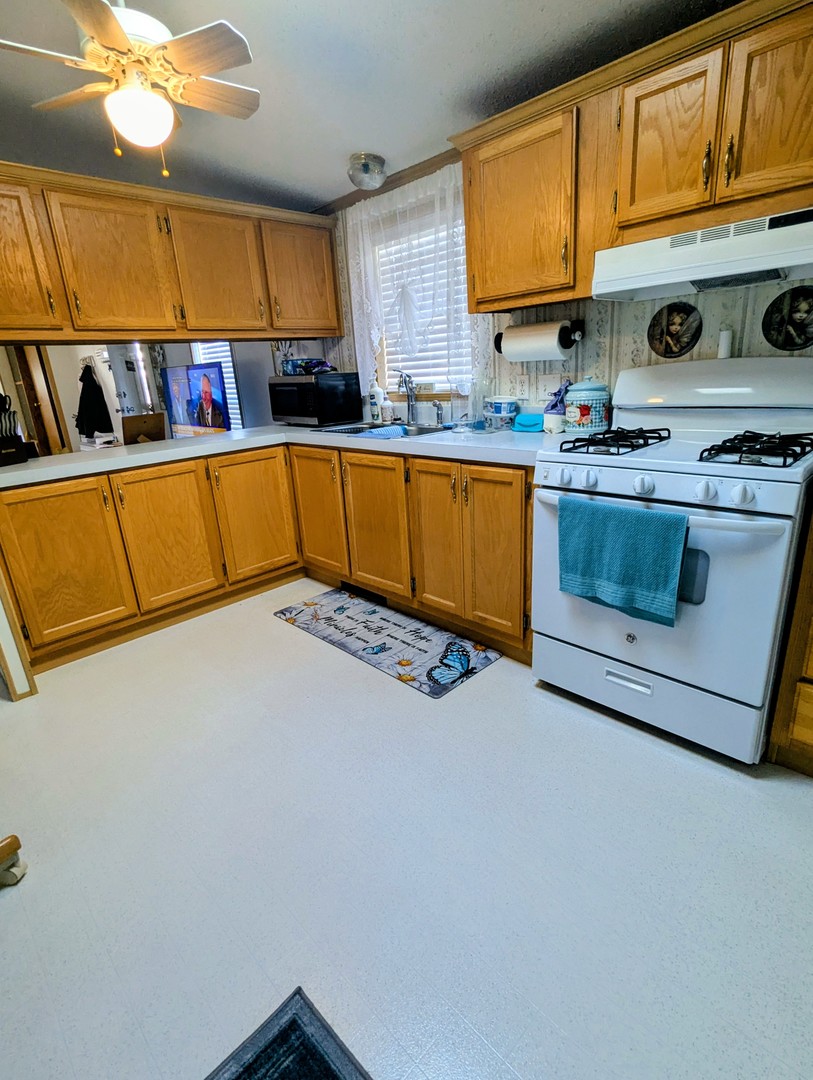 58 Swan Lane Beecher, IL 60401 - Photo 7 of 15