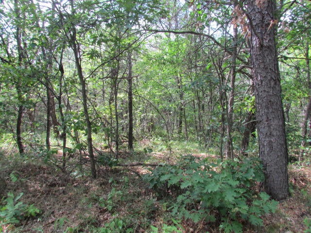O'hara Road Lewiston, MI 49756 - Photo 1 of 3 Gallery Image 1