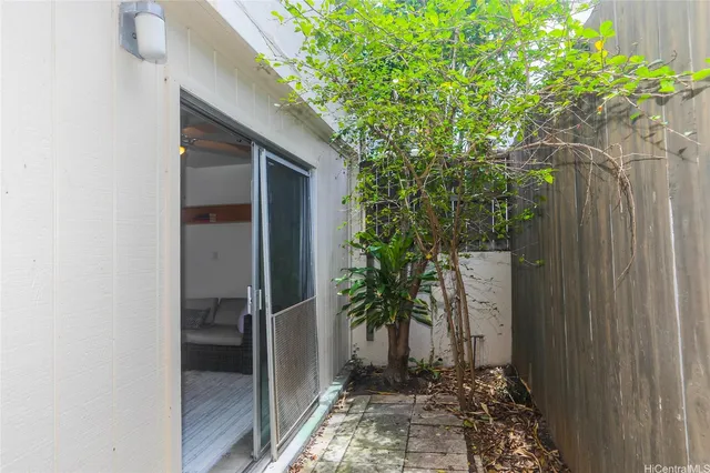 a view of a potted plants next to a wall