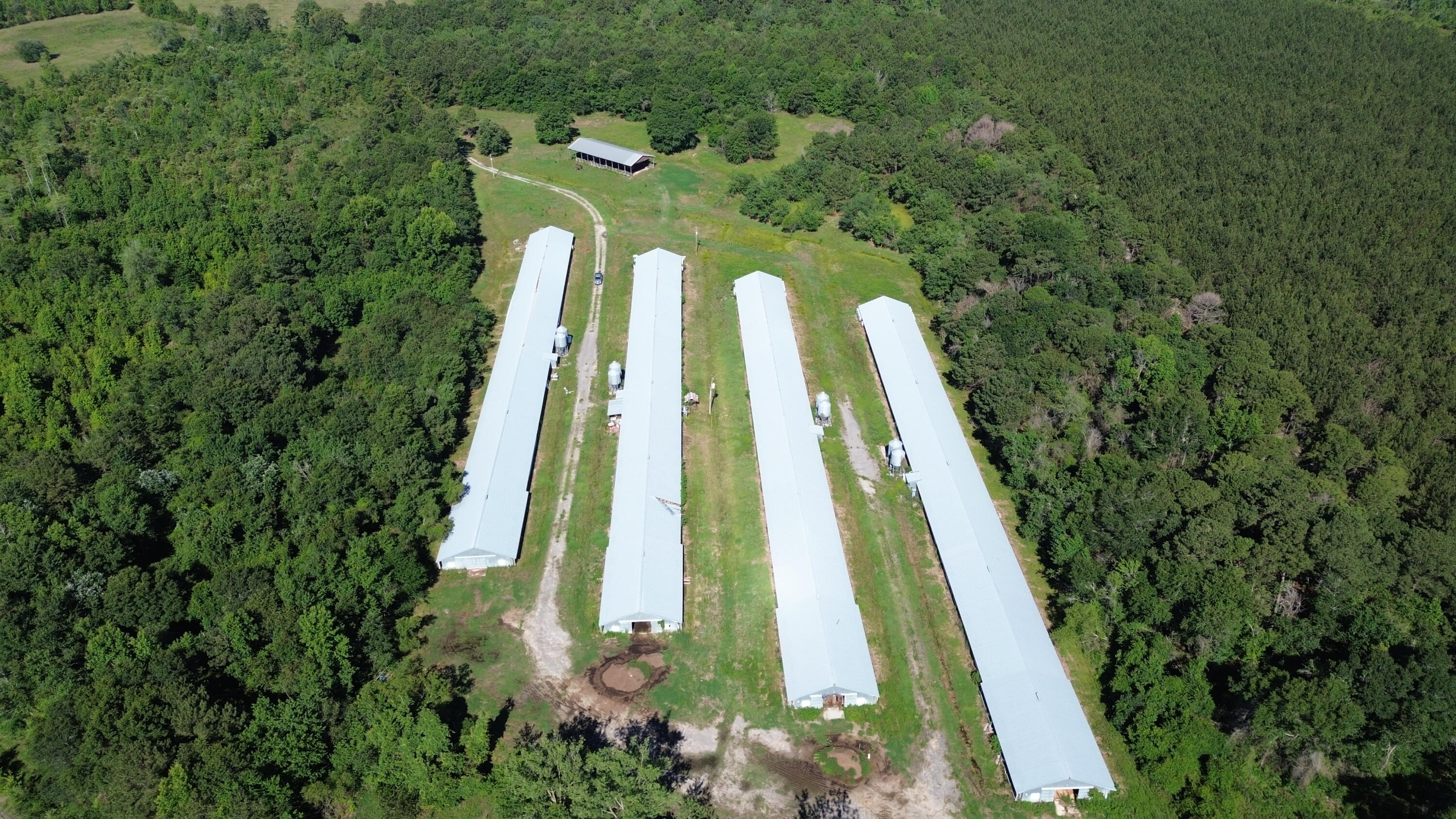 0 Holladay Road Manning, SC 29102 - Photo 1 of 35