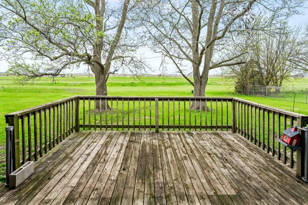 a view of green field with tree s