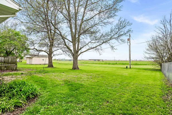 a view of grassy field with shrub