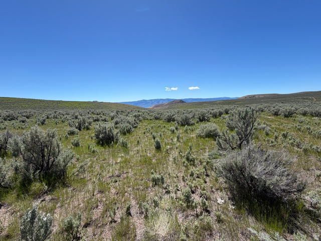 Mud Springs St. Charles, ID 83272 - Photo 8 of 29