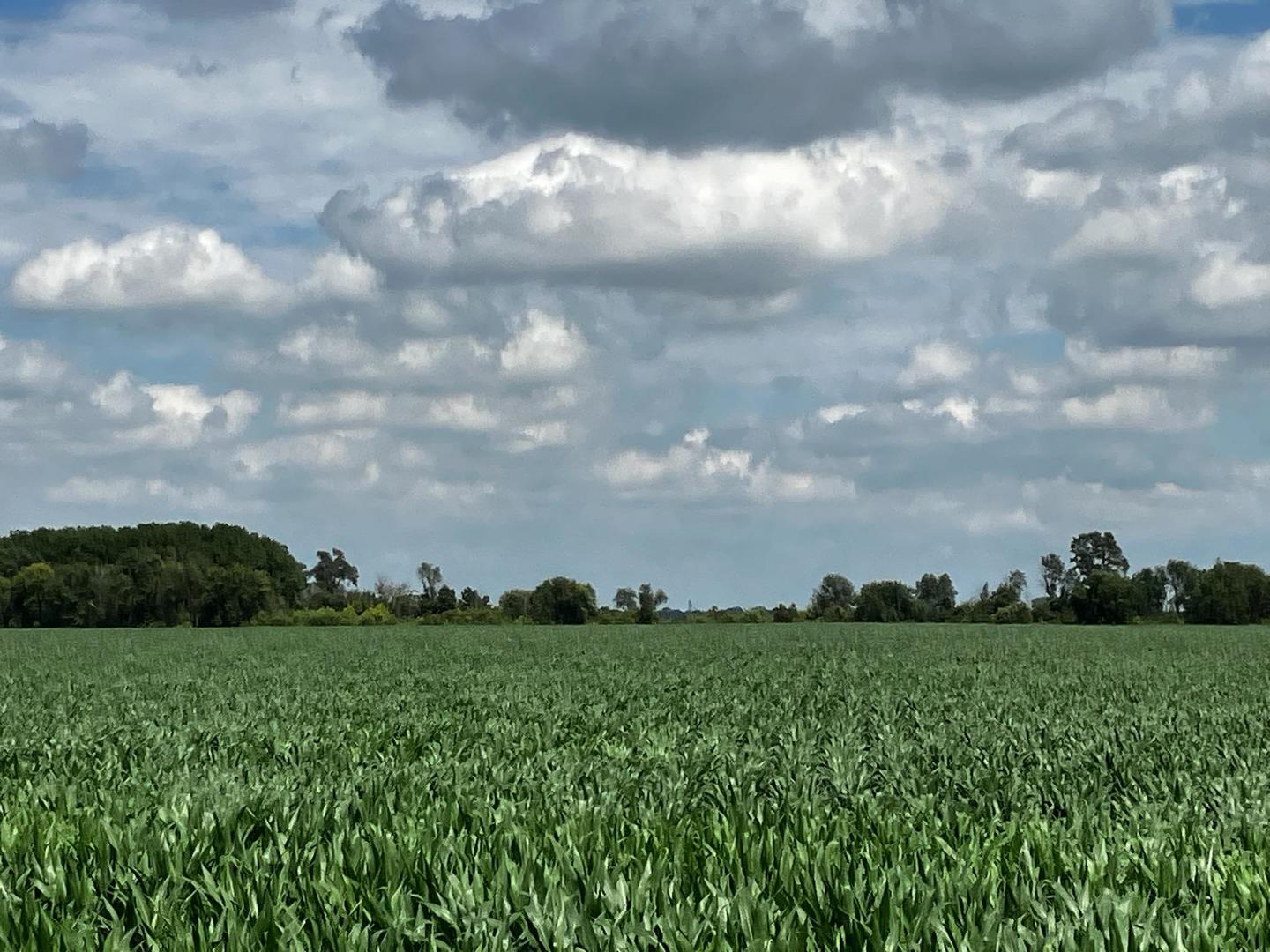 0 2351st Road Serena, IL 60549 - Photo 5 of 10