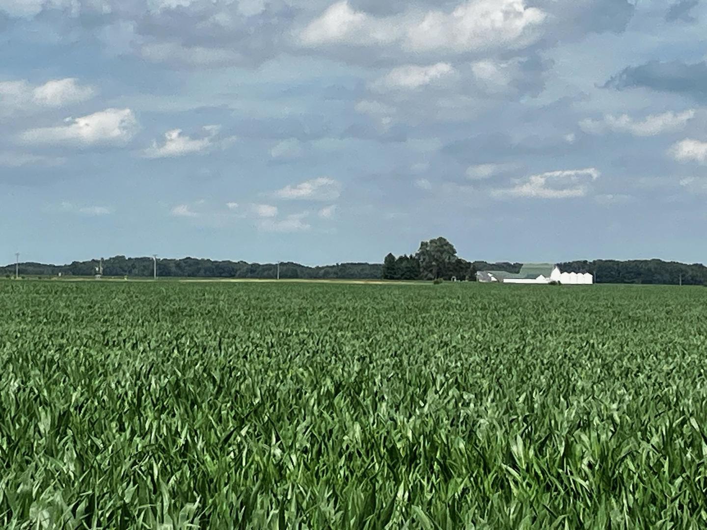 0 2351st Road Serena, IL 60549 - Photo 6 of 10