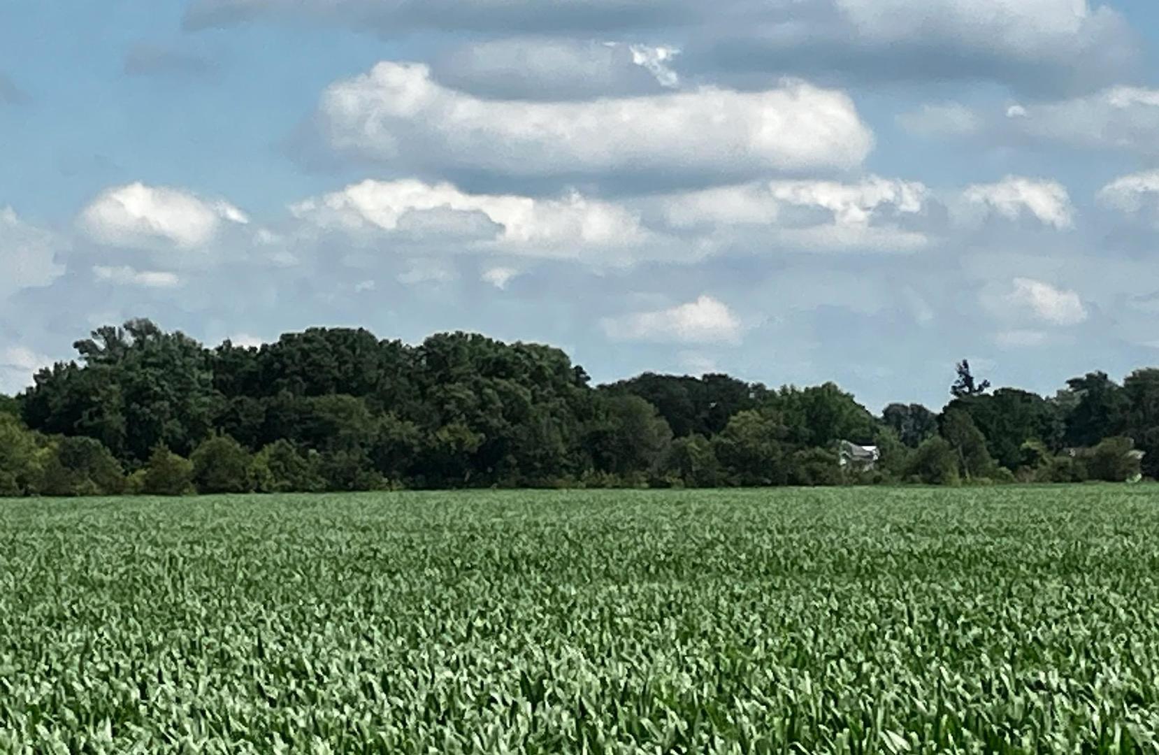 0 2351st Road Serena, IL 60549 - Photo 7 of 10