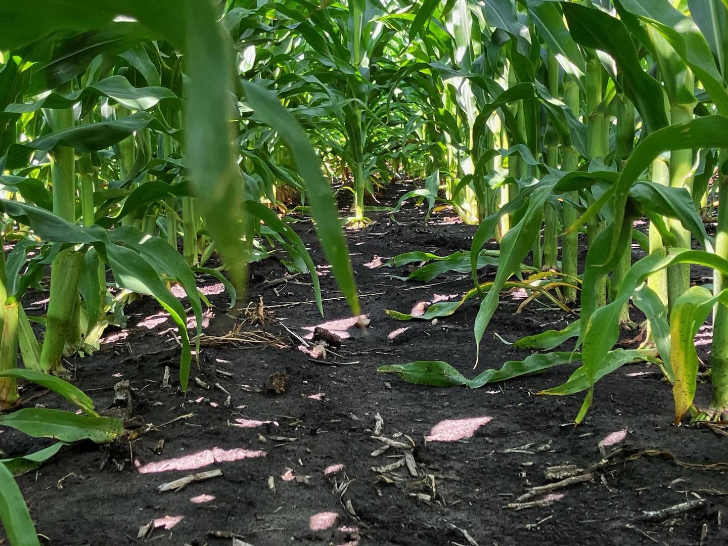 0 2351st Road Serena, IL 60549 - Photo 10 of 10