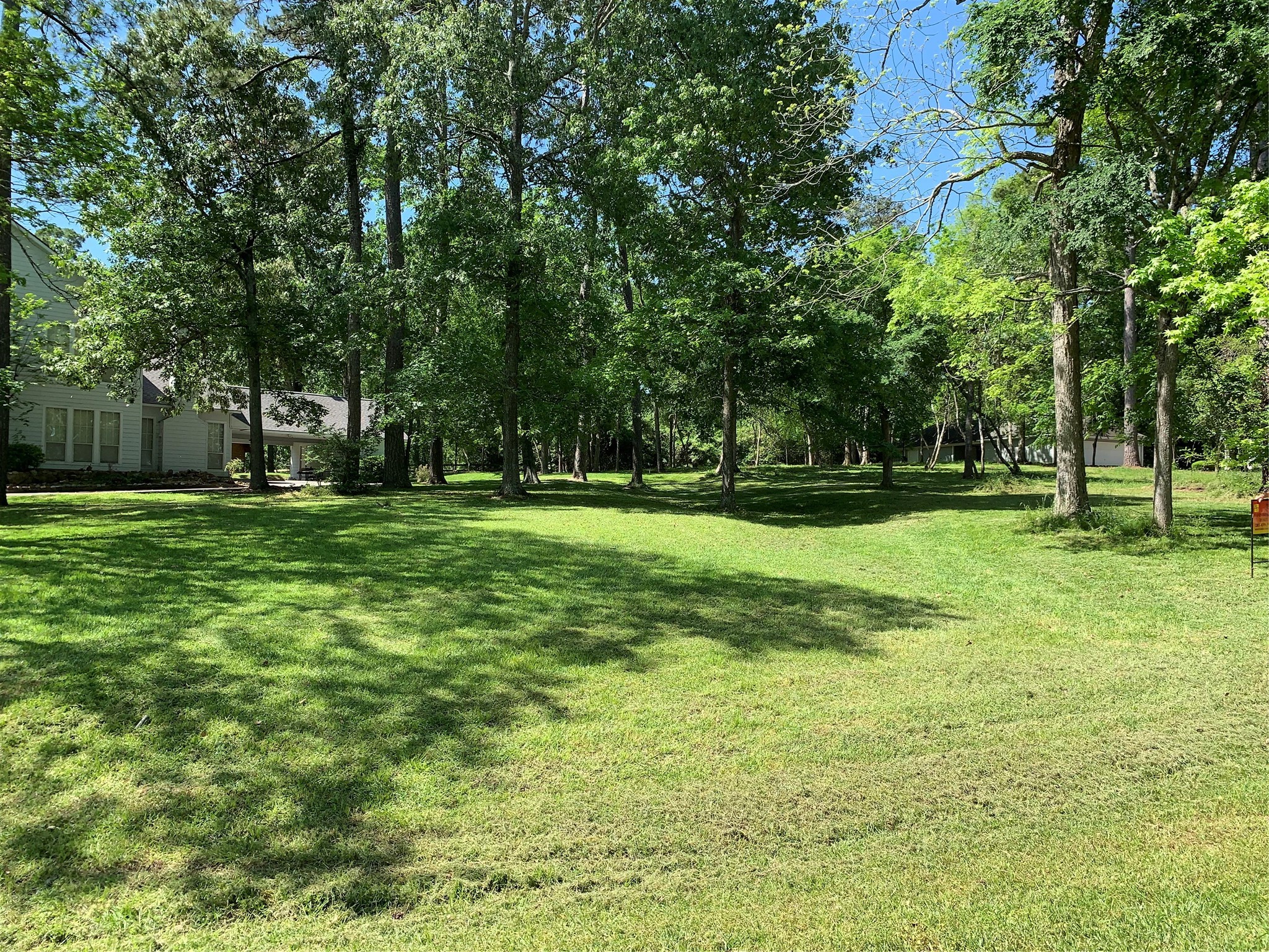 a view of a park with trees and a trees