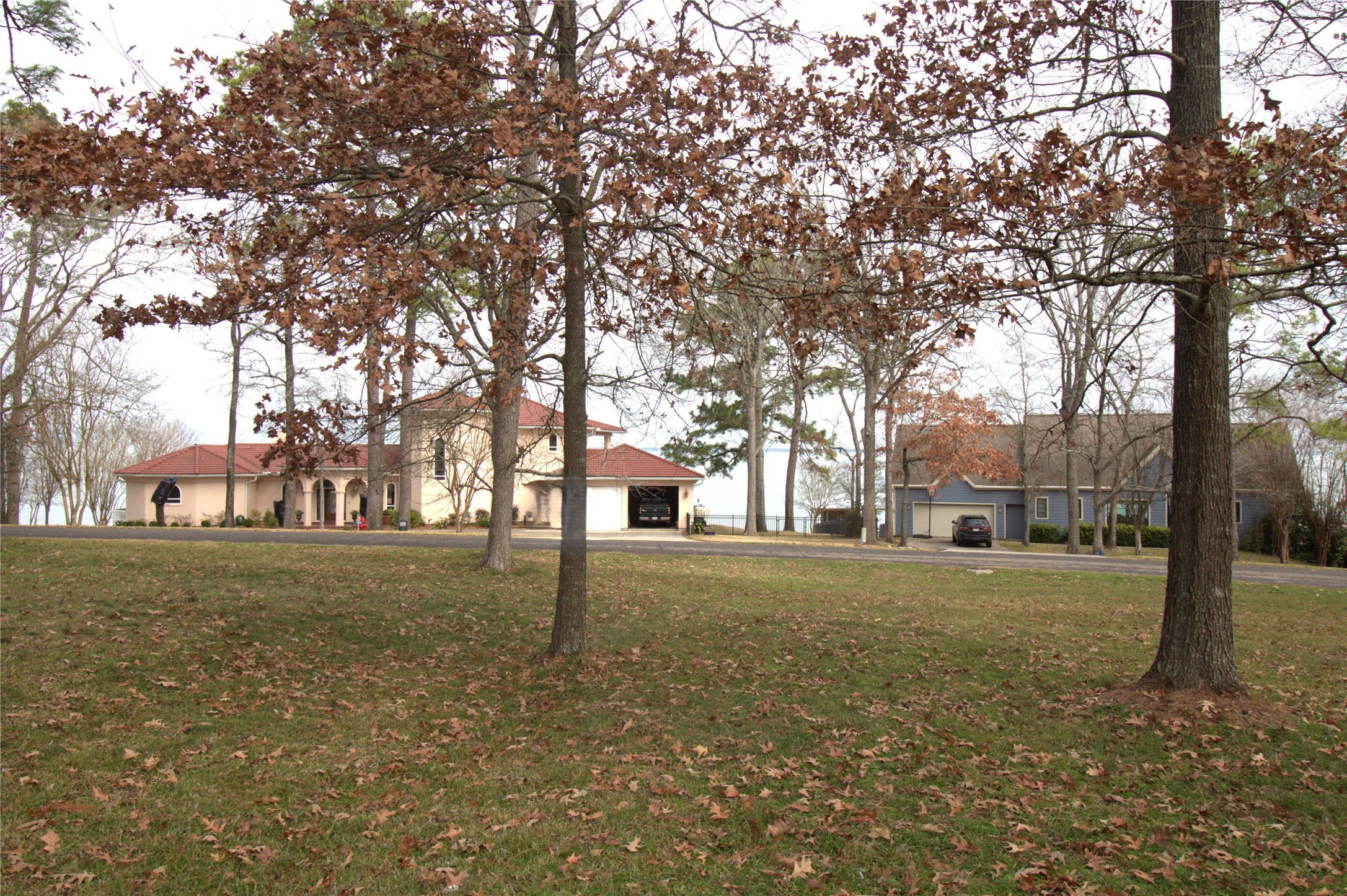 122 Kings Way Coldspring, TX 77331 - Photo 3 of 19 a view of a yard with a tree