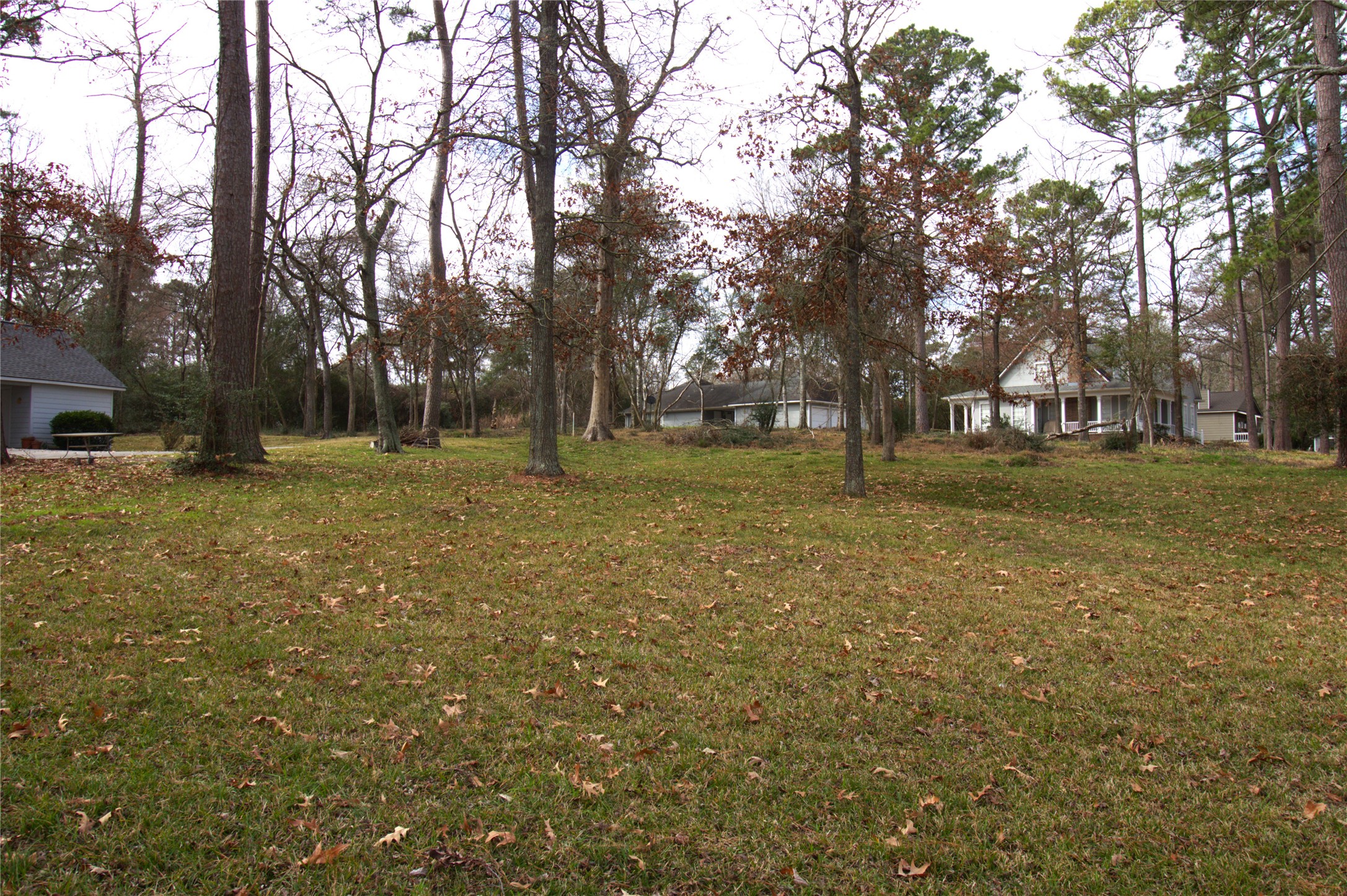 122 Kings Way Coldspring, TX 77331 - Photo 4 of 19 a view of a yard with a tree