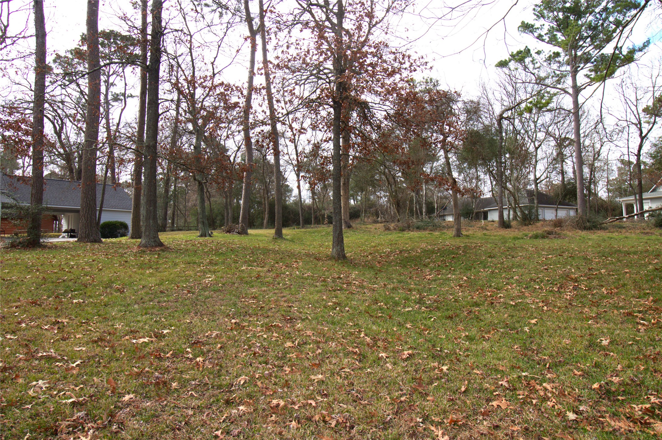 122 Kings Way Coldspring, TX 77331 - Photo 5 of 19 a view of a park with large trees