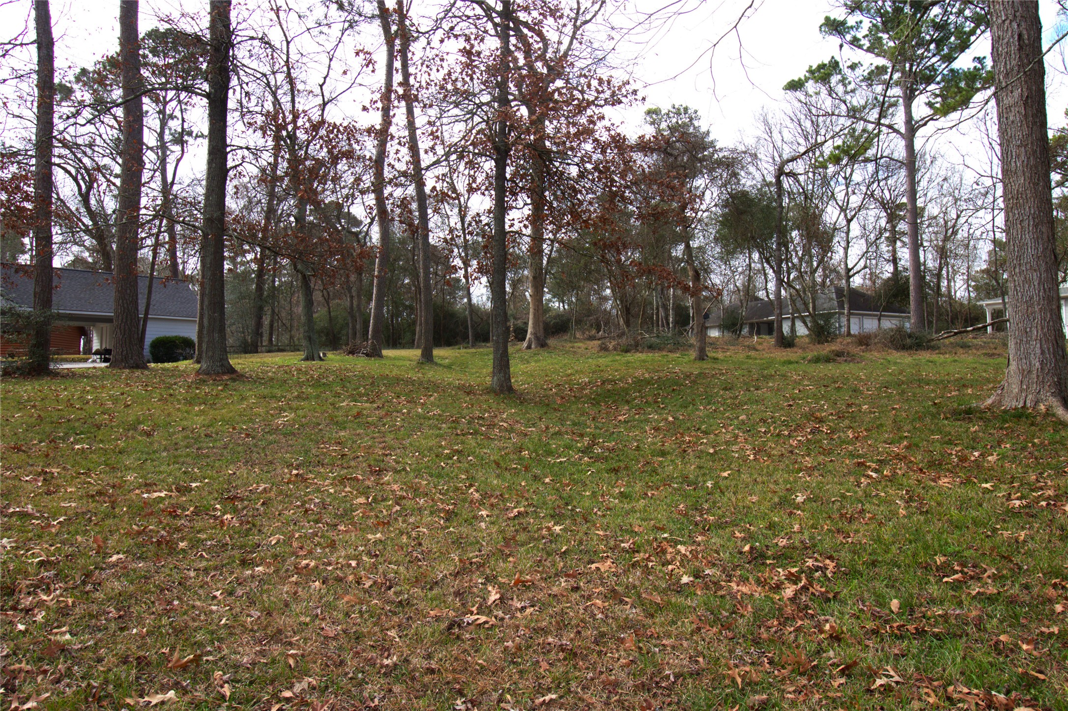 122 Kings Way Coldspring, TX 77331 - Photo 6 of 19 a view of a park with large trees
