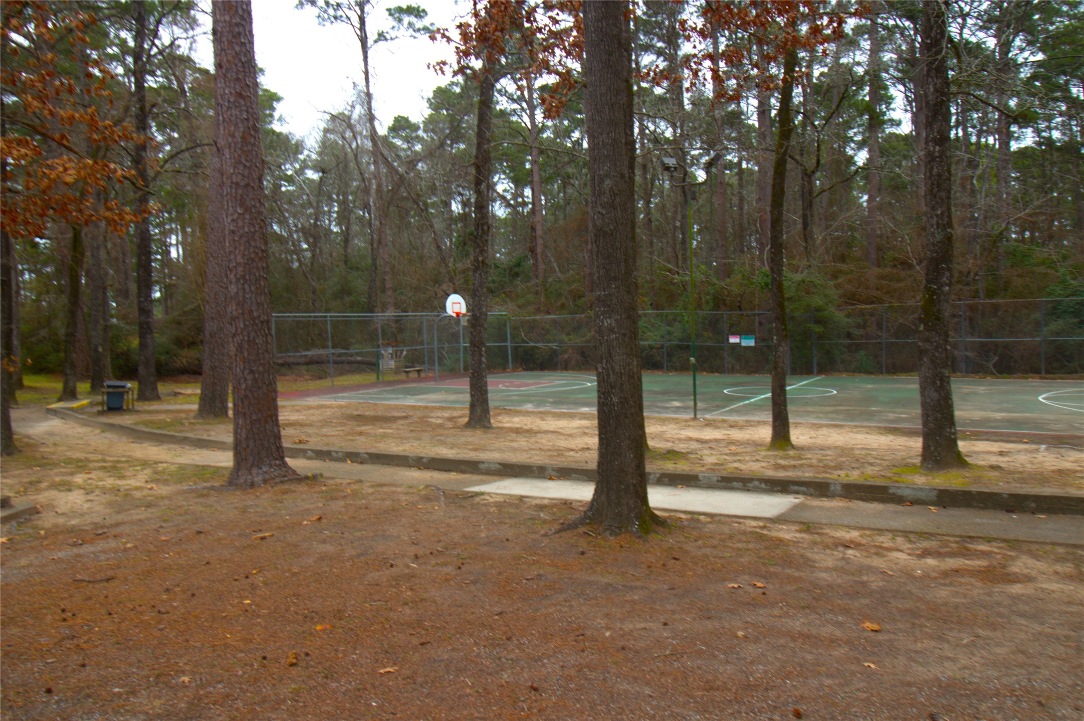 122 Kings Way Coldspring, TX 77331 - Photo 7 of 19 a view of road and trees