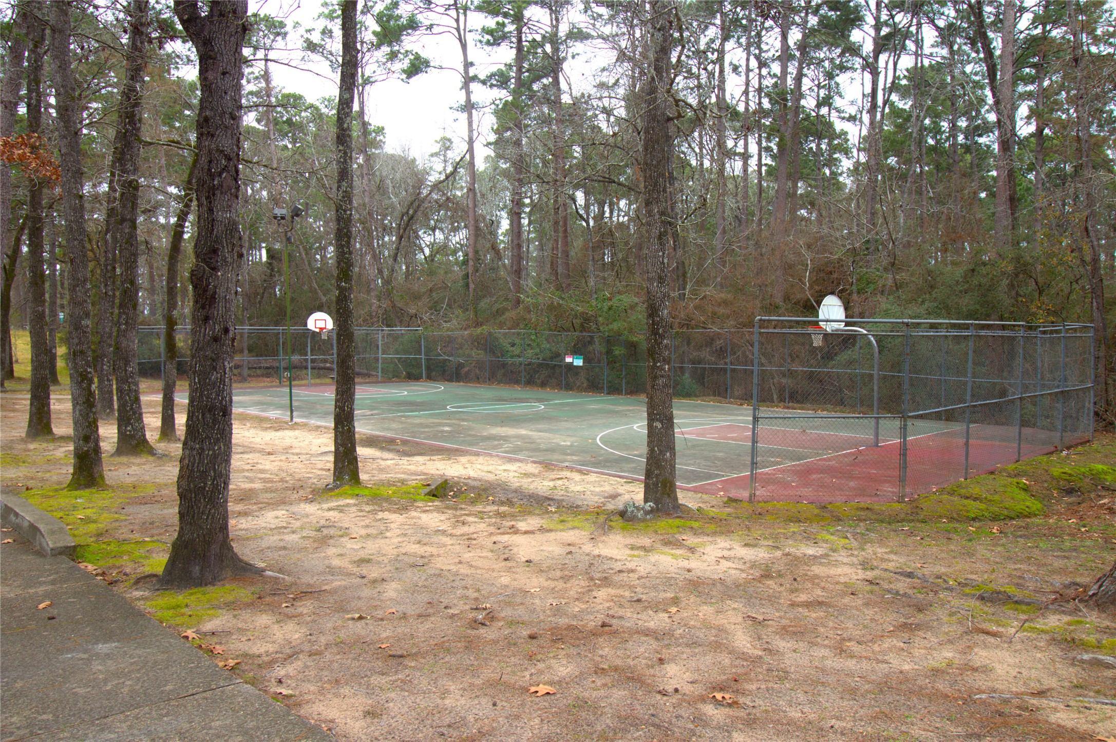 122 Kings Way Coldspring, TX 77331 - Photo 8 of 19 a backyard of a house