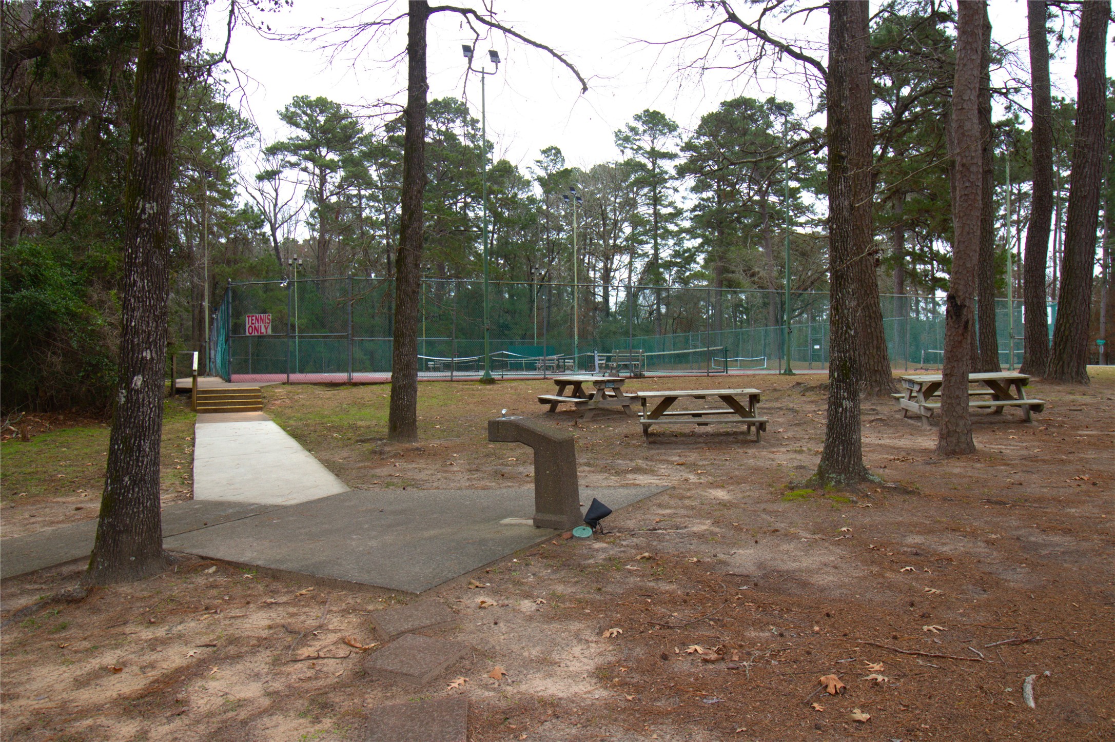 122 Kings Way Coldspring, TX 77331 - Photo 9 of 19