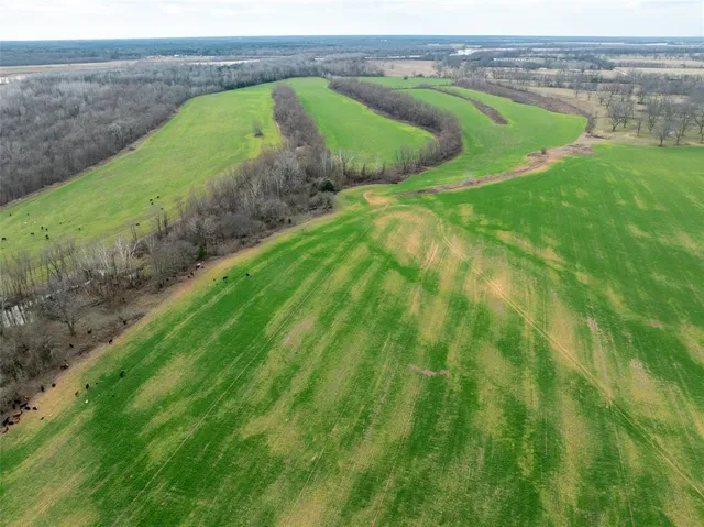 a view of an outdoor space and a yard