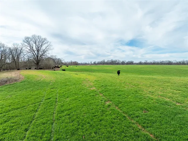 a view of a field of grass and trees