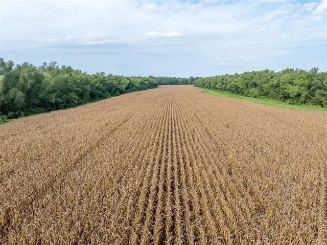 a view of a terrace view