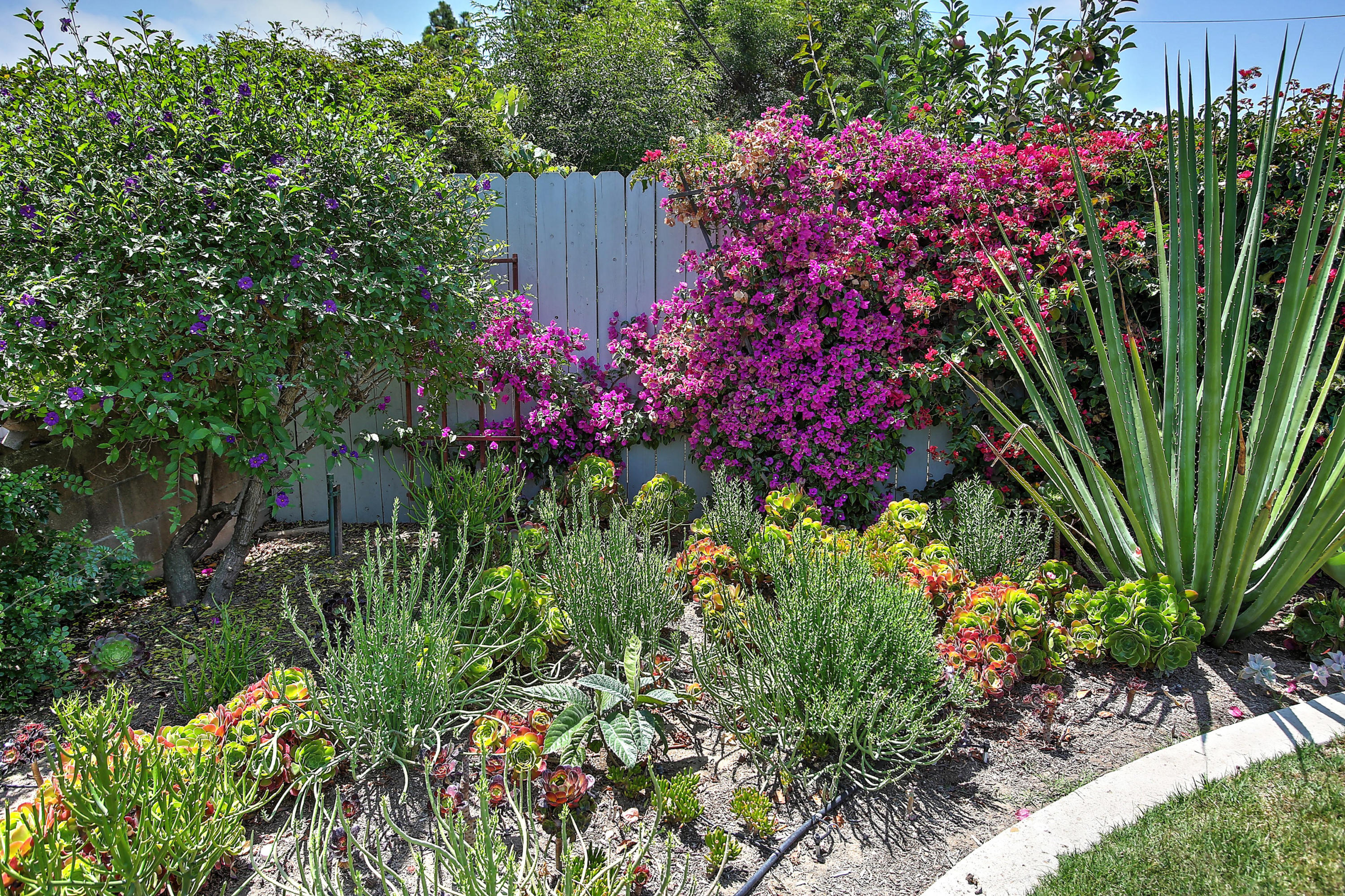 5781 Berkeley Road Goleta, CA 93117 - Photo 10 of 25 014