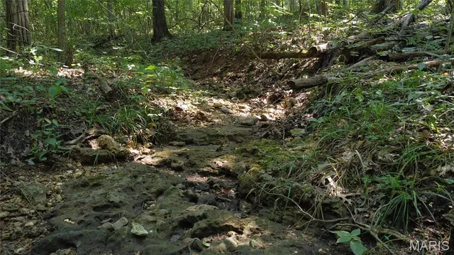 $104,500 | 10021 Bugle Road, Cadet, MO 63630