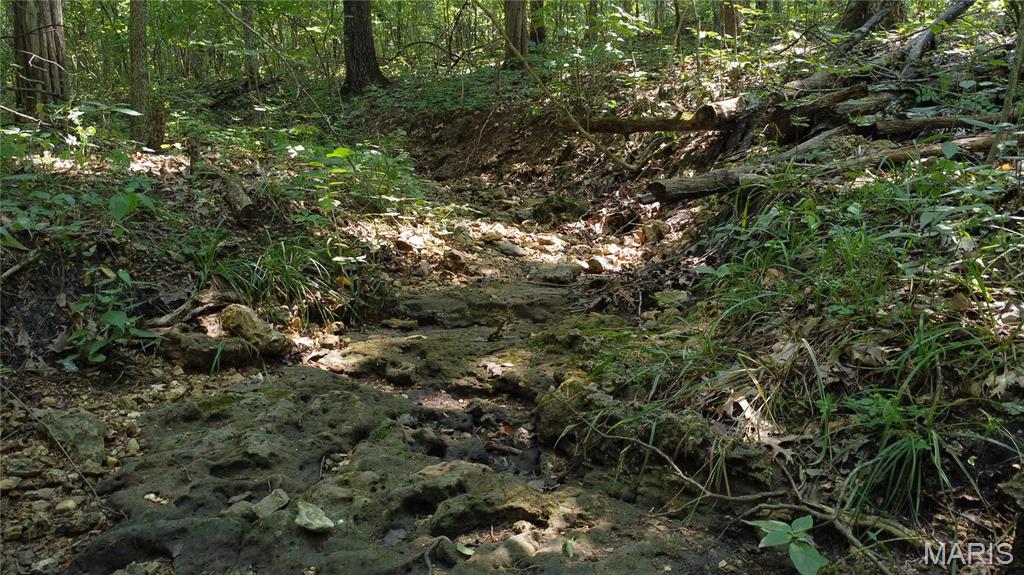 10021 Bugle Road Cadet, MO 63630 - Photo 2 of 50