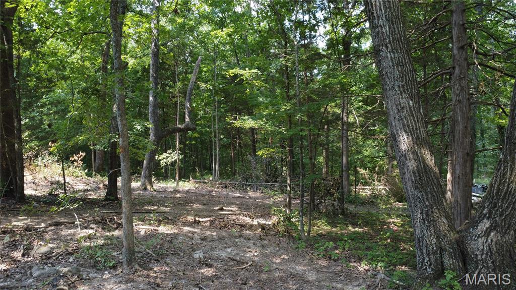 10021 Bugle Road Cadet, MO 63630 - Photo 21 of 50