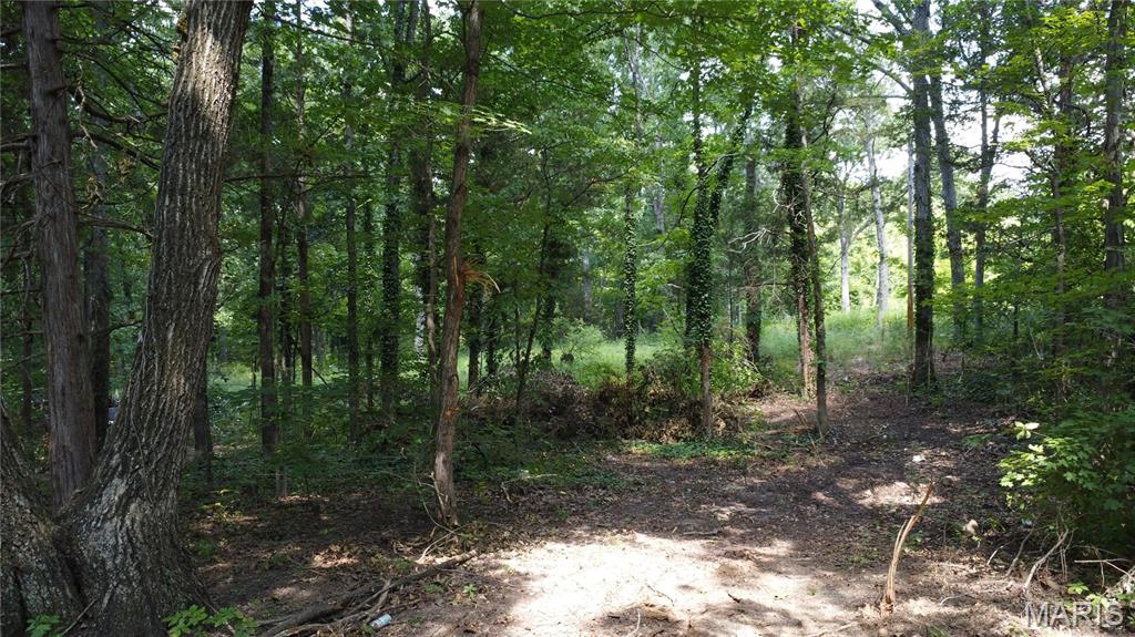 10021 Bugle Road Cadet, MO 63630 - Photo 22 of 50