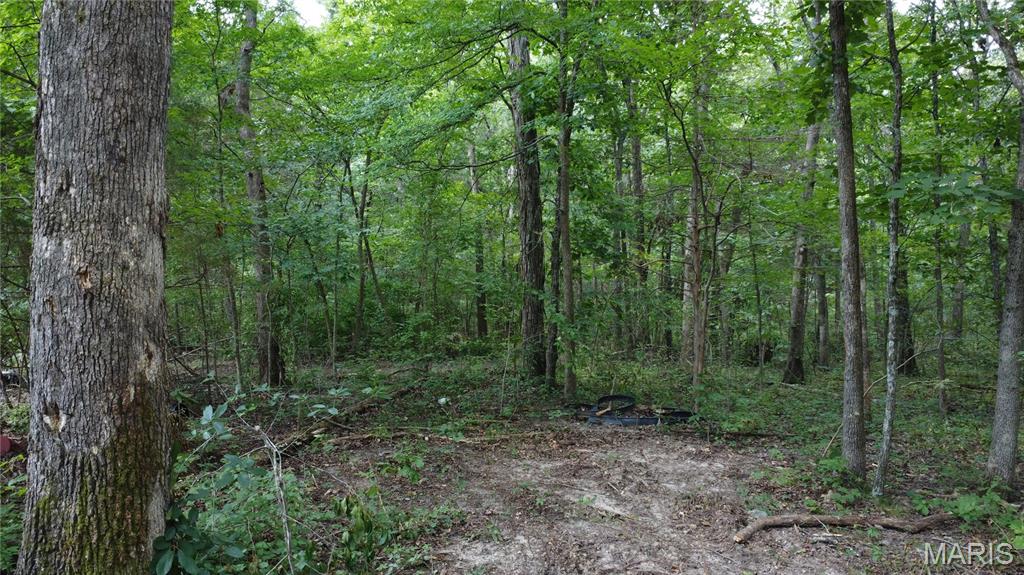 10021 Bugle Road Cadet, MO 63630 - Photo 23 of 50