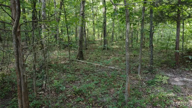 $104,500 | 10021 Bugle Road, Cadet, MO 63630