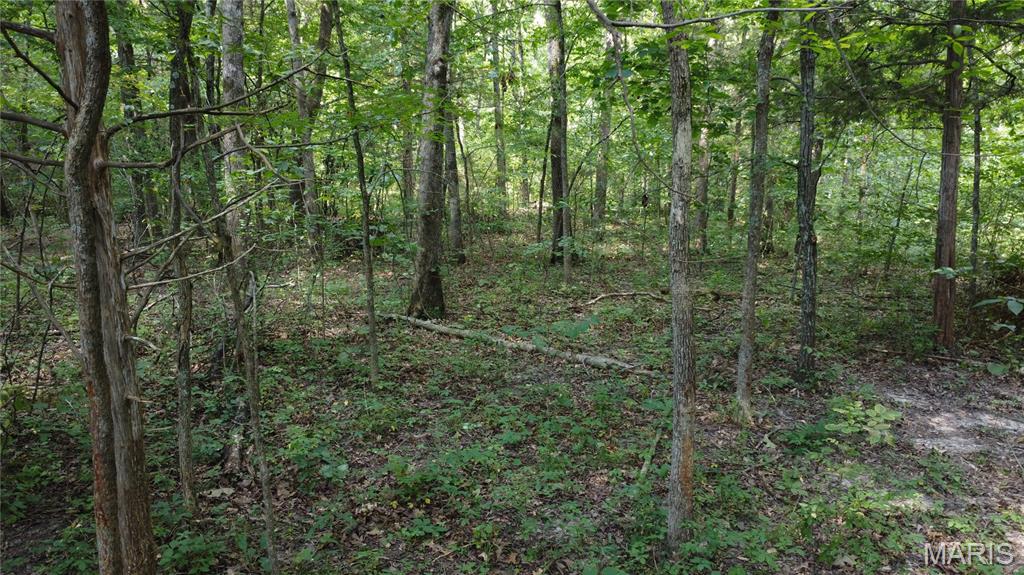 10021 Bugle Road Cadet, MO 63630 - Photo 24 of 50