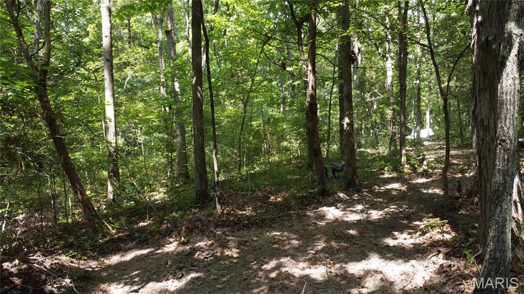 10021 Bugle Road Cadet, MO 63630 - Photo 27 of 50