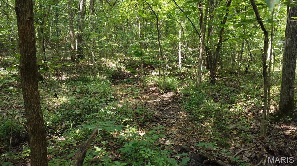 10021 Bugle Road Cadet, MO 63630 - Photo 29 of 50