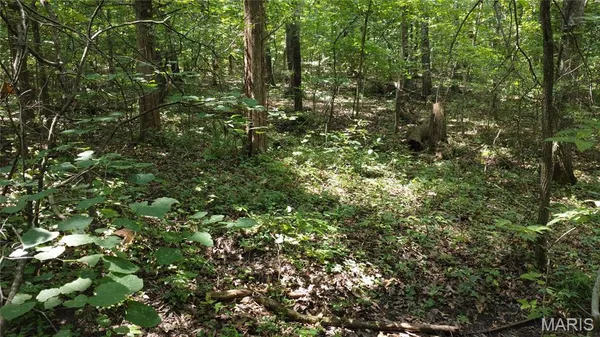 $104,500 | 10021 Bugle Road, Cadet, MO 63630