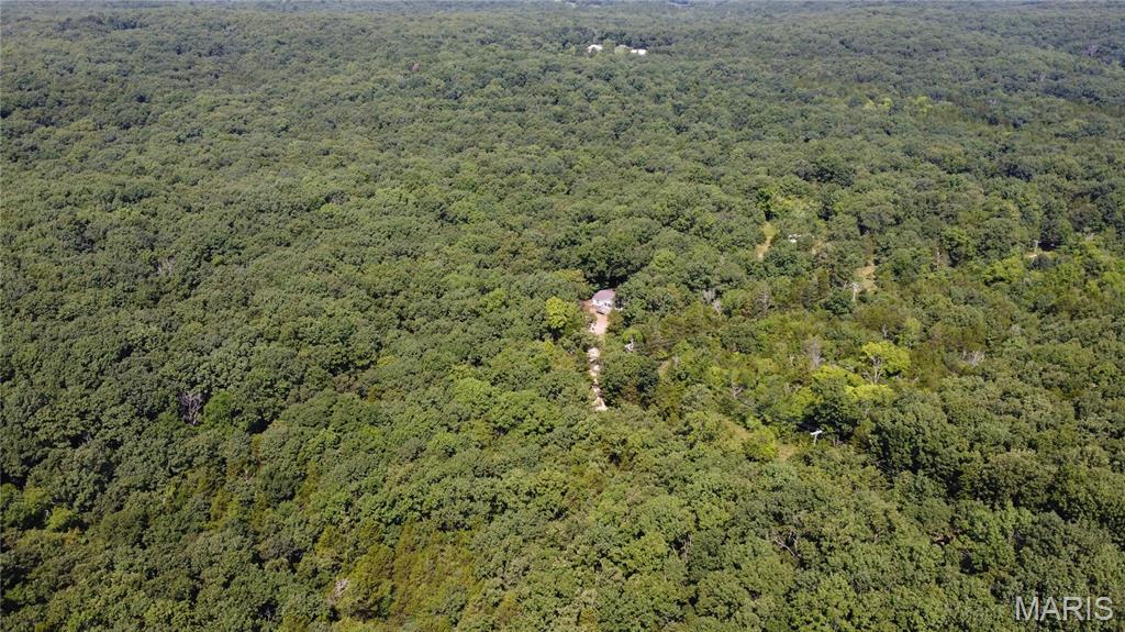 10021 Bugle Road Cadet, MO 63630 - Photo 3 of 50