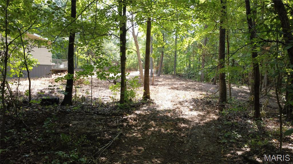 10021 Bugle Road Cadet, MO 63630 - Photo 31 of 50