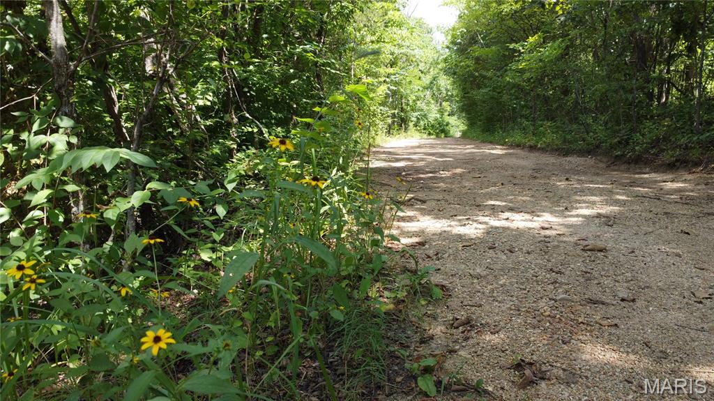 10021 Bugle Road Cadet, MO 63630 - Photo 37 of 50