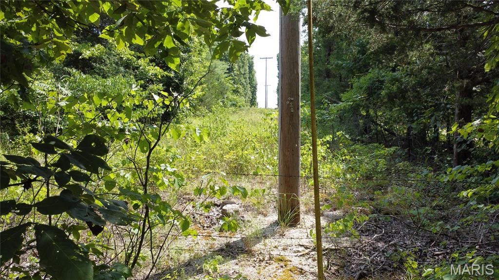 10021 Bugle Road Cadet, MO 63630 - Photo 38 of 50