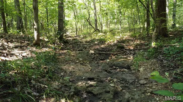$104,500 | 10021 Bugle Road, Cadet, MO 63630