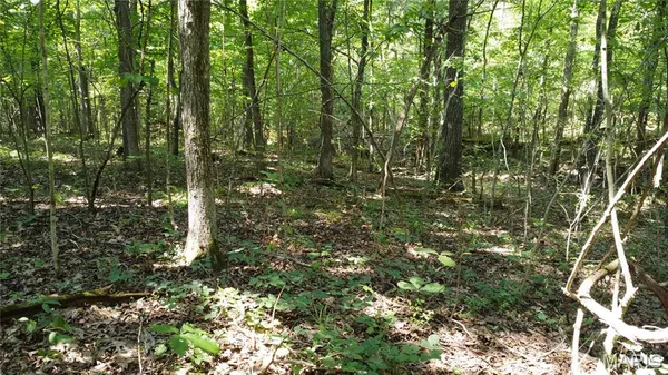 $104,500 | 10021 Bugle Road, Cadet, MO 63630