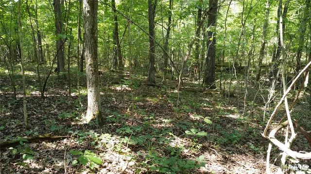 $104,500 | 10021 Bugle Road, Cadet, MO 63630