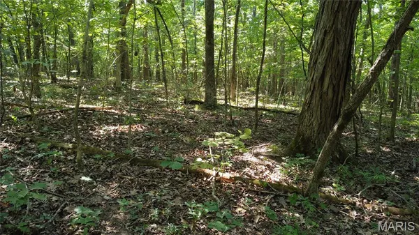 $104,500 | 10021 Bugle Road, Cadet, MO 63630