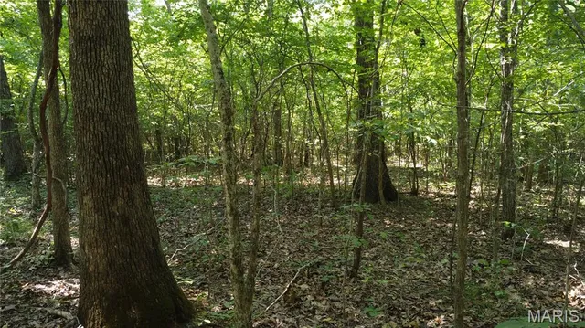 $104,500 | 10021 Bugle Road, Cadet, MO 63630