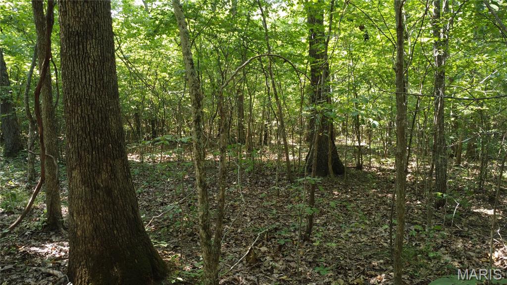 10021 Bugle Road Cadet, MO 63630 - Photo 43 of 50