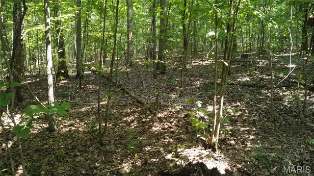 $104,500 | 10021 Bugle Road, Cadet, MO 63630