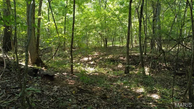 $104,500 | 10021 Bugle Road, Cadet, MO 63630