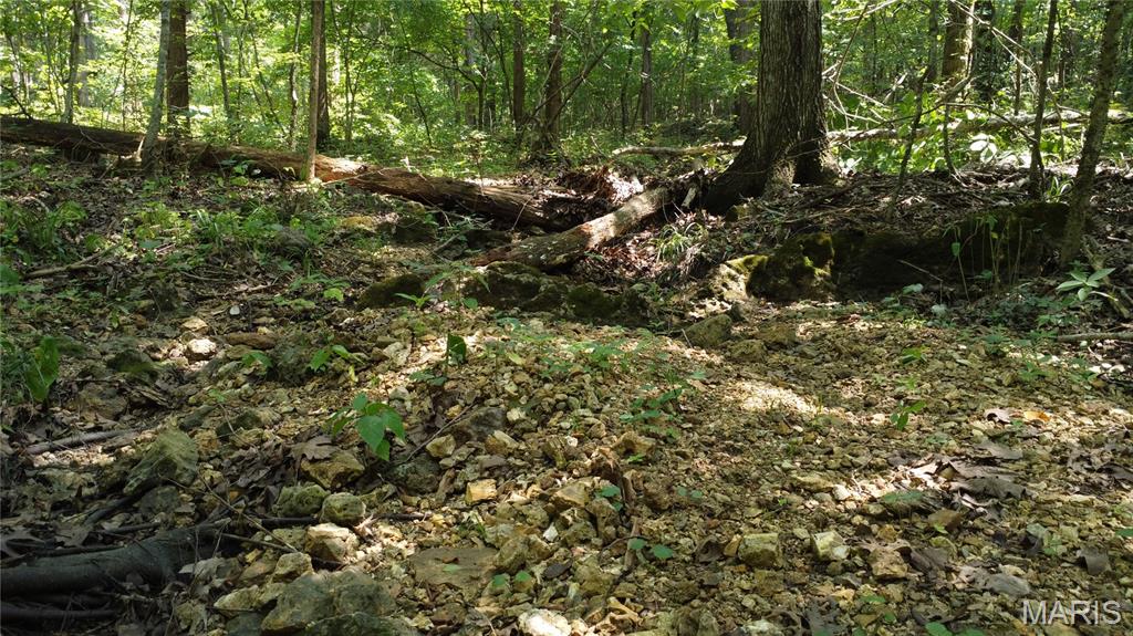 10021 Bugle Road Cadet, MO 63630 - Photo 47 of 50