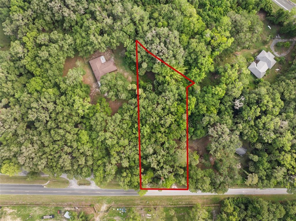 Tbd Southeast Wacahoota Road Micanopy, FL 32667 - Photo 12 of 13 a view of a yard with a tree