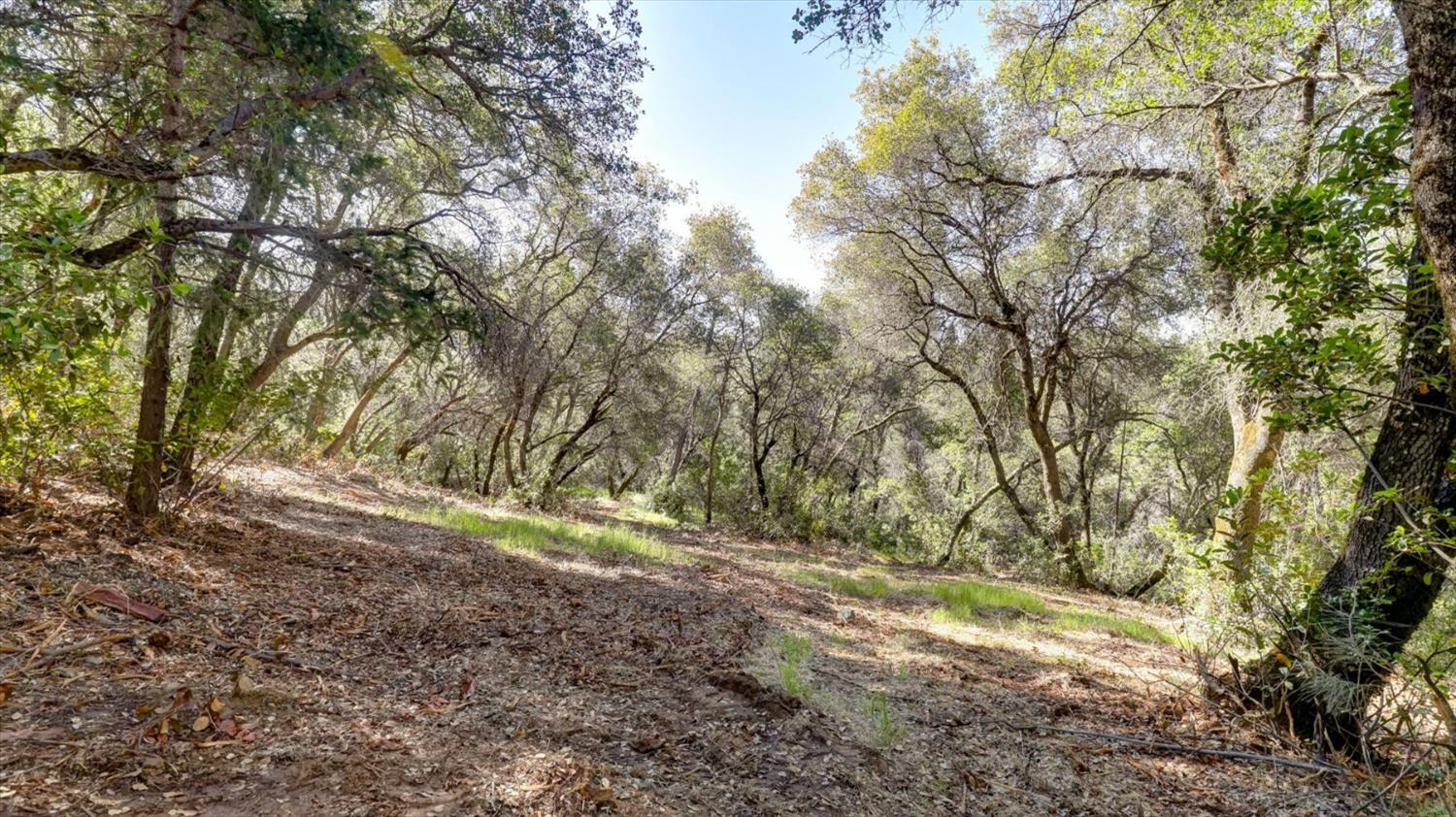 0 Southridge Road Penn Valley, CA 95946 - Photo 49 of 72