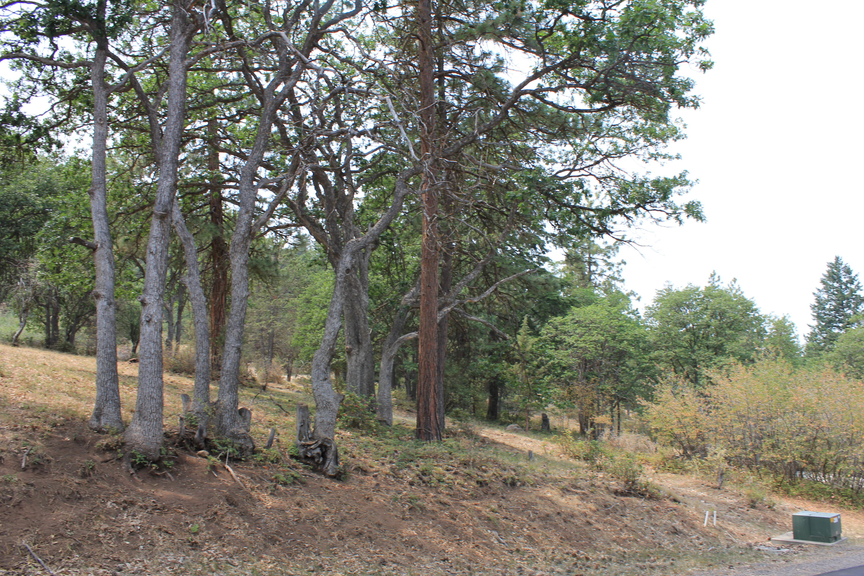 Redstart Road, Unit LOT899 Klamath Falls, OR 97601 - Photo 3 of 9 IMG_8089