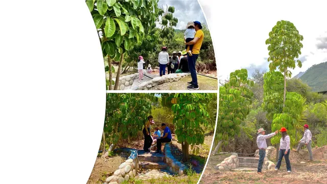 $55,000 | 194242 Predio Rustico Denominado Chilcayoc, Almont, CO 81210